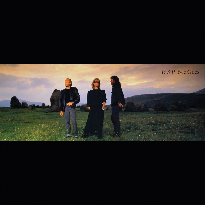 E.S.P, Bee Gees, brothers gibb standing in a field at dusk